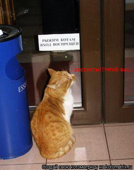 Котоматрица: ...рассисты!!!чтоб вас...