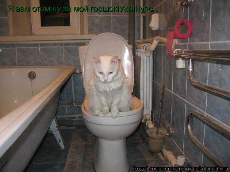 Котоматрица: Я вам отомщу за мой горшок!Уха!!!упс..