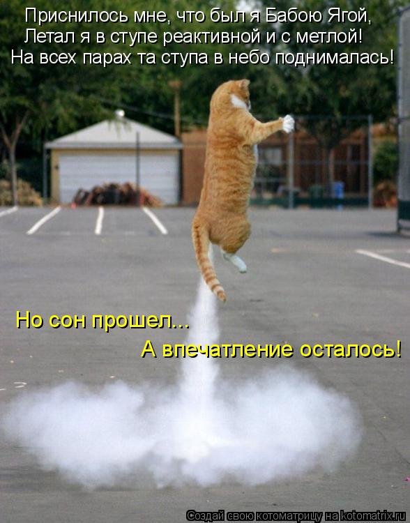 Приснилось мне, что был я Бабою Ягой, Летал я в ступе реактивной и с метлой! На всех парах та ступа в... Котоматрица: Приснилось мне, что был я Бабою Ягой, Летал я в ступе реактивной и с метлой! На всех парах та ступа в небо поднималась! Но сон прошел... А впеча