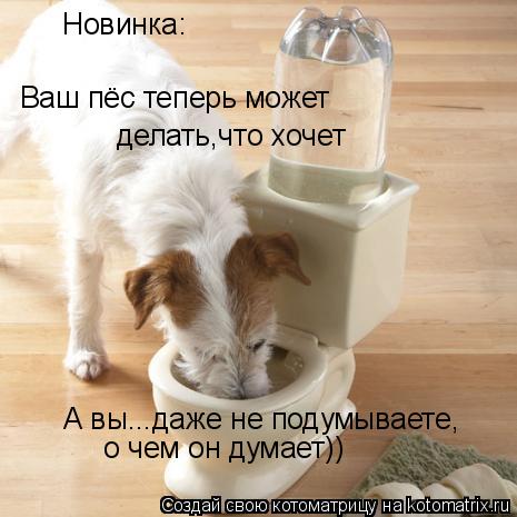 Котоматрица: Новинка: Ваш пёс теперь может делать,что хочет А вы...даже не подумываете,  о чем он думает))
