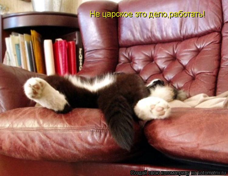 Не царское это дело,работать!... Котоматрица: Не царское это дело,работать!