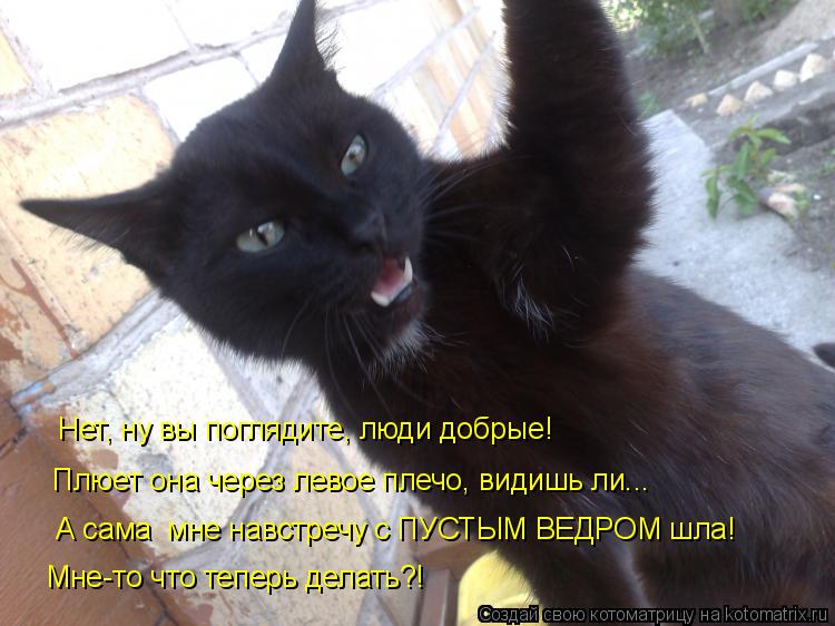 Нет, ну вы поглядите, люди добрые! Плюет она через левое плечо, видишь ли... А сама мне навстречу с ... Котоматрица: Нет, ну вы поглядите, люди добрые! Плюет она через левое плечо, видишь ли... А сама мне навстречу с ПУСТЫМ ВЕДРОМ шла! Мне-то что теперь делать