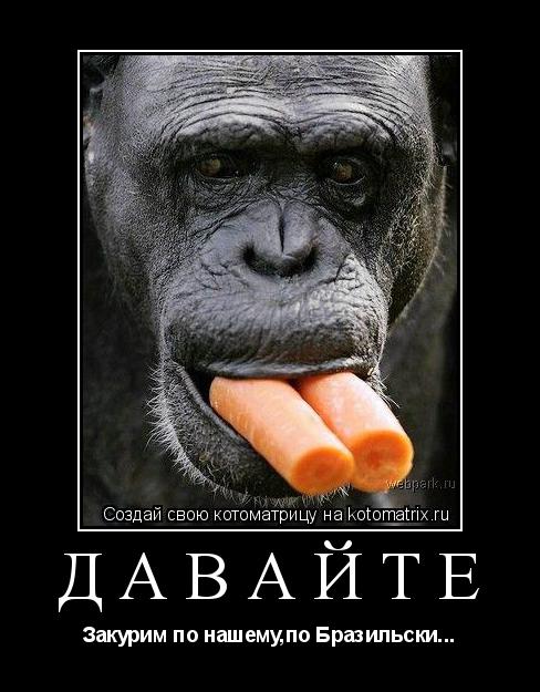 Давайте Закурим по нашему,по Бразильски...... Котоматрица: Давайте Закурим по нашему,по Бразильски...