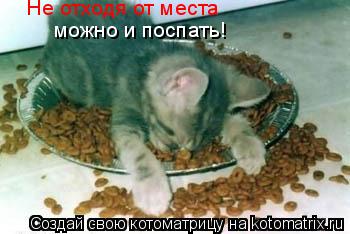 Не отходя от места можно и поспать!... Котоматрица: Не отходя от места можно и поспать!