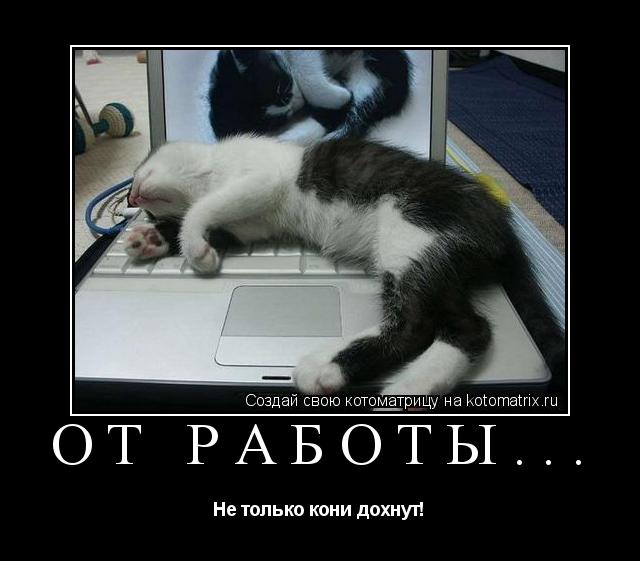 Котоматрица: От работы... Не только кони дохнут!