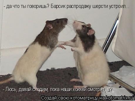 - да что ты говоришь? Барсик распродажу шерсти устроил... - Люсь, давай сходим, пока наши хоккей смот... Котоматрица: - да что ты говоришь? Барсик распродажу шерсти устроил... - Люсь, давай сходим, пока наши хоккей смотрят, а?