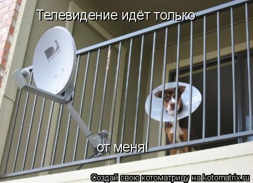 Телевидение идёт только Телевидение идёт только от меня!... Котоматрица: Телевидение идёт только Телевидение идёт только от меня!
