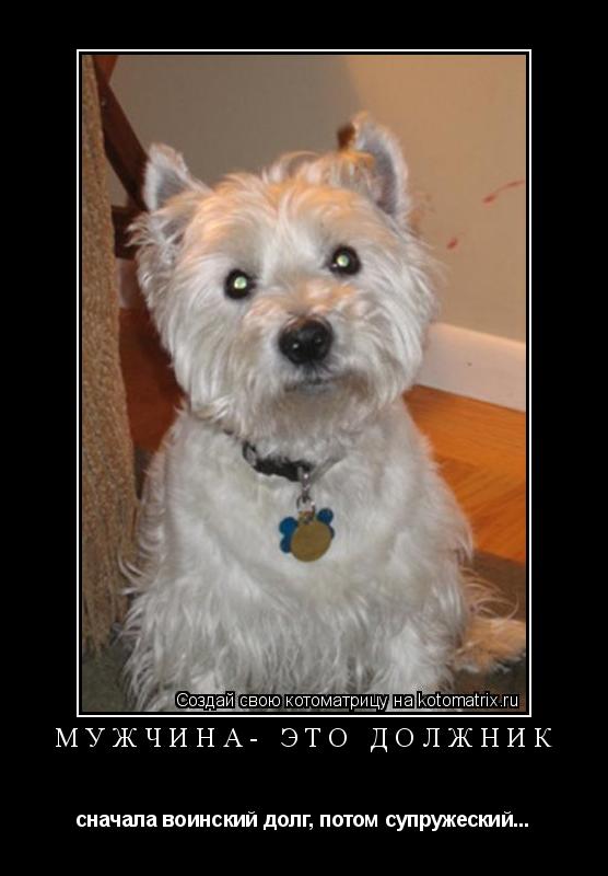 Мужчина- это должник сначала воинский долг, потом супружеский...... Котоматрица: Мужчина- это должник сначала воинский долг, потом супружеский...