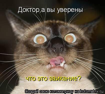 Котоматрица: Доктор,а вы уверены что это заикание?