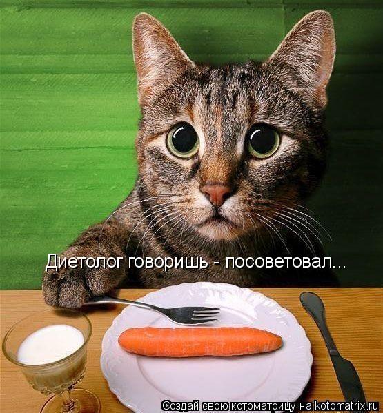Диетолог говоришь - посоветовал...... Котоматрица: Диетолог говоришь - посоветовал...