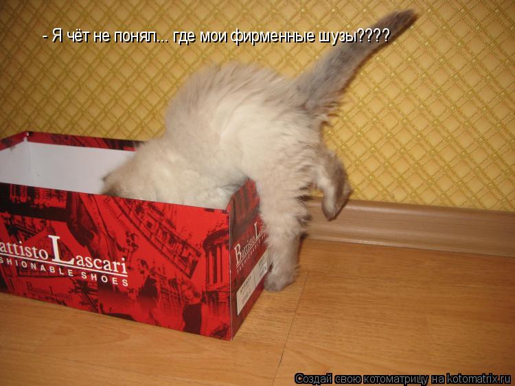 - Я чёт не понял... где мои фирменные шузы????... Котоматрица: - Я чёт не понял... где мои фирменные шузы????