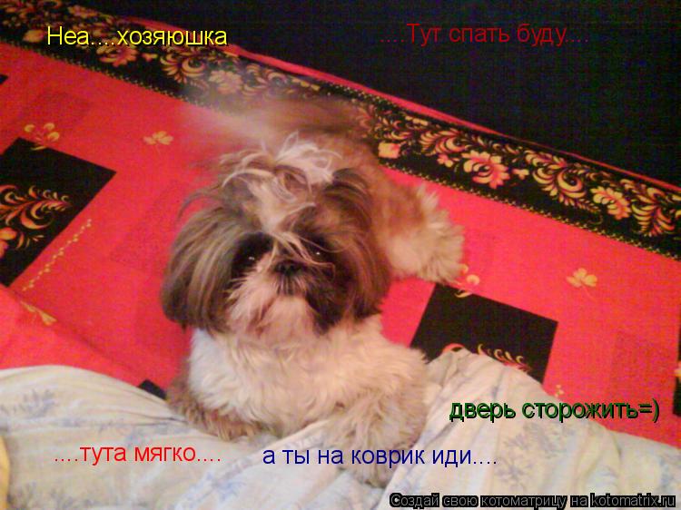 Котоматрица: Неа....хозяюшка ....Тут спать буду.... ....тута мягко.... а ты на коврик иди.... дверь сторожить=)