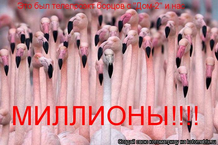 Это был телепроэкт борцов с "Дом-2" и нас МИЛЛИОНЫ!!!!... Котоматрица: Это был телепроэкт борцов с "Дом-2" и нас МИЛЛИОНЫ!!!!