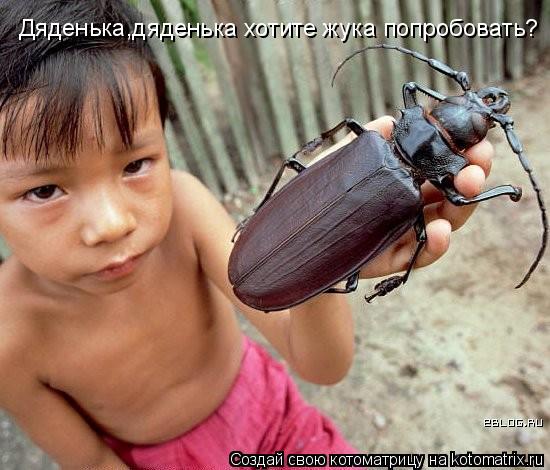 Котоматрица: Дяденька,дяденька хотите жука попробовать?