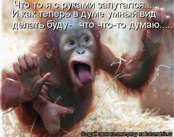 . Что то я с руками запутался.... И как теперь в думе умный вид делать буду- что что-то думаю........ Котоматрица: . Что то я с руками запутался.... И как теперь в думе умный вид делать буду- что что-то думаю.........