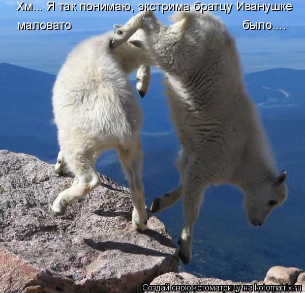 Хм... Я так понимаю, экстрима братцу Иванушке маловато ... Котоматрица: Хм... Я так понимаю, экстрима братцу Иванушке маловато было....