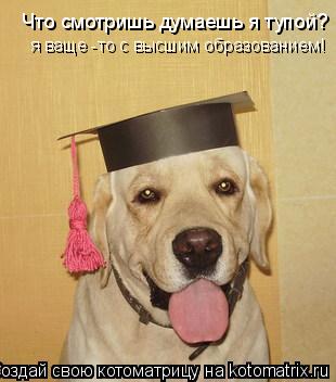 Котоматрица: Что смотришь думаешь я тупой? я ваще -то с высшим образованием!