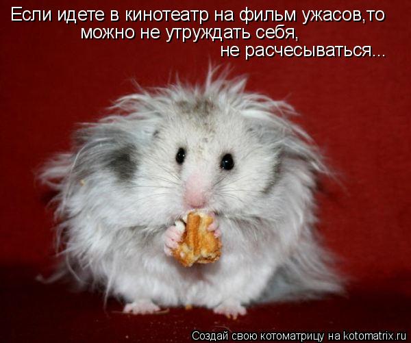 Если идете в кинотеатр на фильм ужасов,то можно не утруждать себя, не расчесываться...... Котоматрица: Если идете в кинотеатр на фильм ужасов,то можно не утруждать себя, не расчесываться...