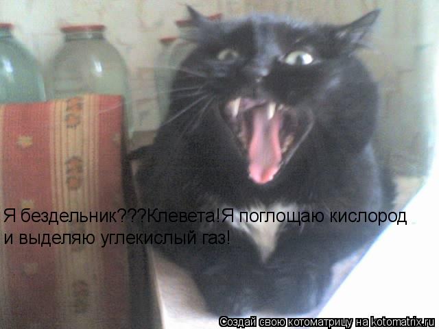 Котоматрица: Я бездельник???Клевета!Я поглощаю кислород и выделяю углекислый газ!