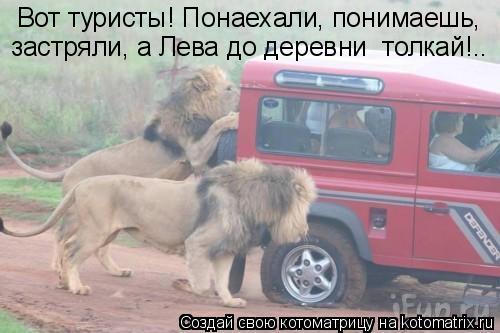 Вот туристы! Понаехали, понимаешь, застряли, а Лева до деревни толкай!..... Котоматрица: Вот туристы! Понаехали, понимаешь, застряли, а Лева до деревни толкай!..