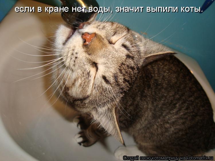 если в кране нет воды, значит выпили коты.... Котоматрица: если в кране нет воды, значит выпили коты.