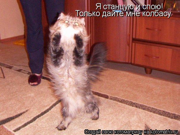 Котоматрица: Я станцую и спою! Только дайте мне колбасу.