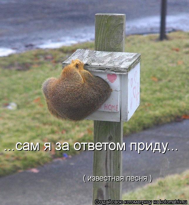 ...сам я за ответом приду... ( известная песня )... Котоматрица: ...сам я за ответом приду... ( известная песня )