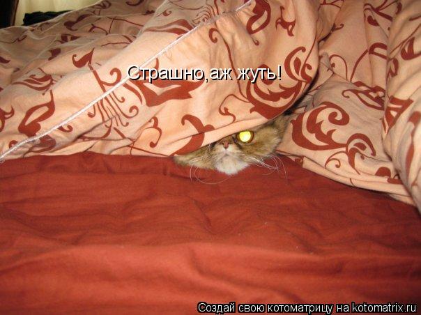 Страшно,аж жуть!... Котоматрица: Страшно,аж жуть!