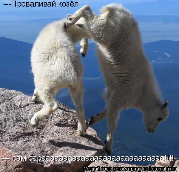 Котоматрица: ---Проваливай,козёл! --- сам бараааааааааааааааааааааааааааа!!!!