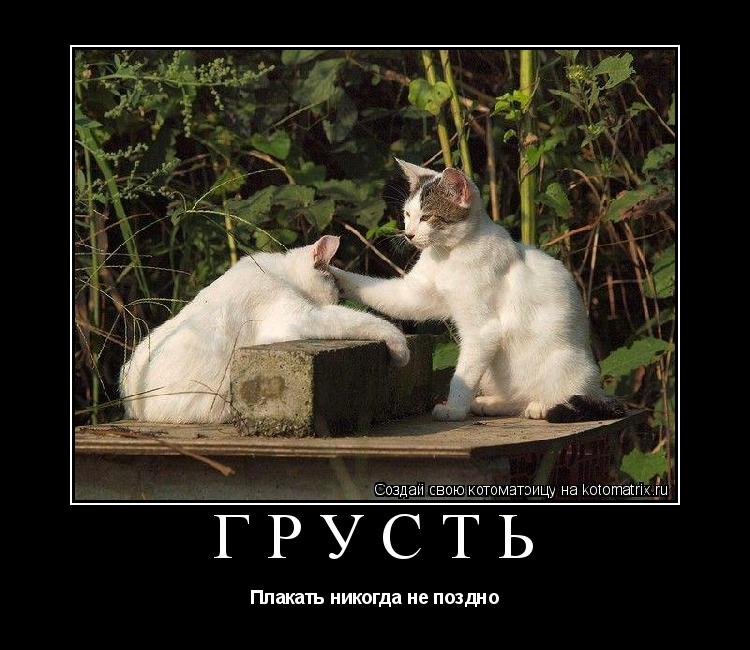 Грусть Плакать никогда не поздно... Котоматрица: Грусть Плакать никогда не поздно