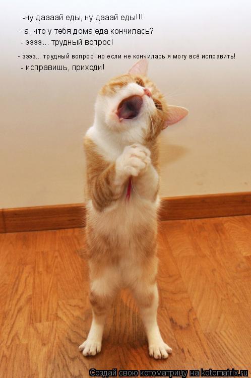 -ну даааай еды, ну дааай еды!!! - а, что у тебя дома еда кончилась? - ээээ... трудный вопрос! - ээээ... Котоматрица: -ну даааай еды, ну дааай еды!!! - а, что у тебя дома еда кончилась? - ээээ... трудный вопрос! - ээээ... трудный вопрос! но если не кончилась я могу в