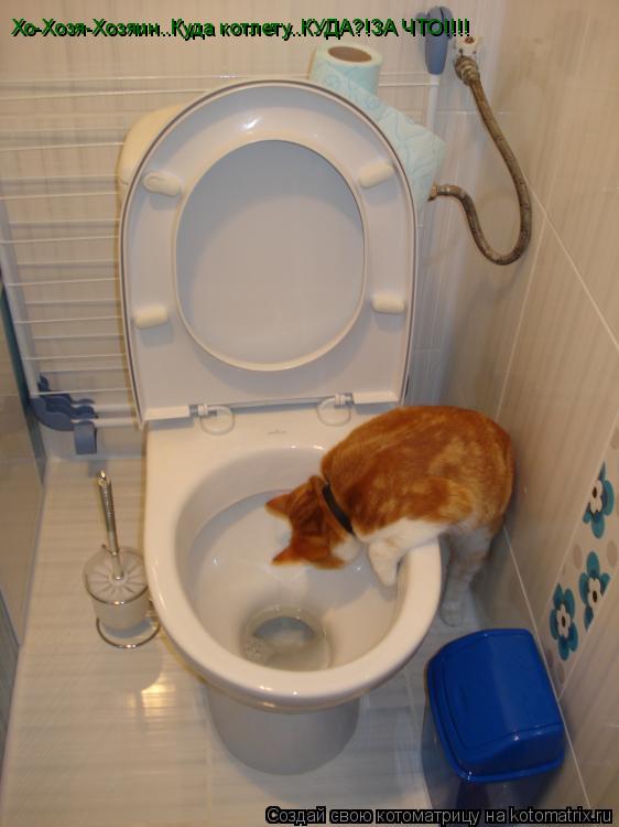Котоматрица: Хо-Хозя-Хозяин..Куда котлету..КУДА?!ЗА ЧТО!!!!