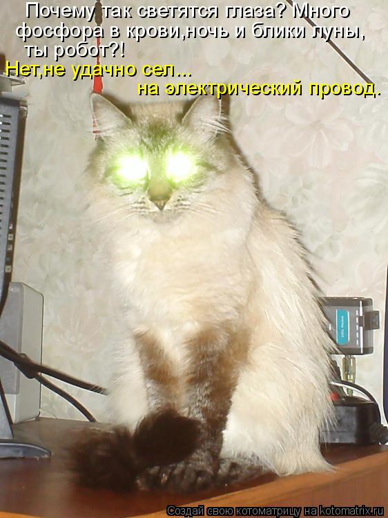Котоматрица: Нет,не удачно сел...  на электрический провод. Почему так светятся глаза? Много  фосфора в крови,ночь и блики луны, ты робот?!