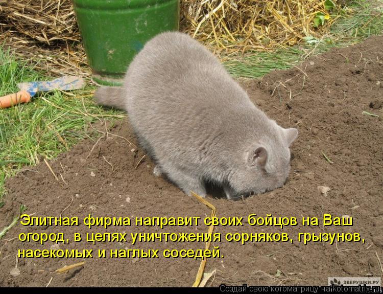 Котоматрица: Элитная фирма направит своих бойцов на Ваш огород, в целях уничтожения сорняков, грызунов, насекомых и наглых соседей.