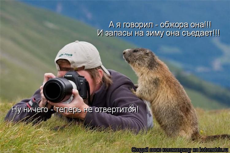 Котоматрица: А я говорил - обжора она!!!  И запасы на зиму она съедает!!! Ну ничего - теперь не отвертится!