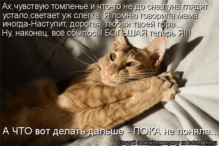 Котоматрица: Ах,чувствую томленье и что-то не до сна,луна глядит устало,светает уж слегка. Я помню говорила мама иногда-Наступит, дорогая, любви твоей пор