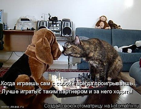 Котоматрица: Когда играешь сам с собой - всегда проигрываешь... Лучше играть с таким партнером и за него ходить!