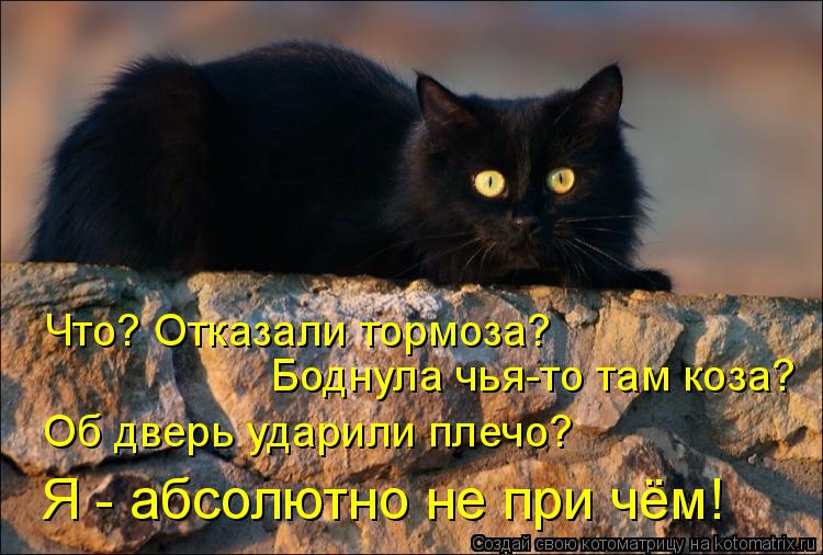 Что? Отказали тормоза? Боднула чья-то там коза? Об дверь ударили плечо? Я - абсолютно не при чём!... Котоматрица: Что? Отказали тормоза? Боднула чья-то там коза? Об дверь ударили плечо? Я - абсолютно не при чём!