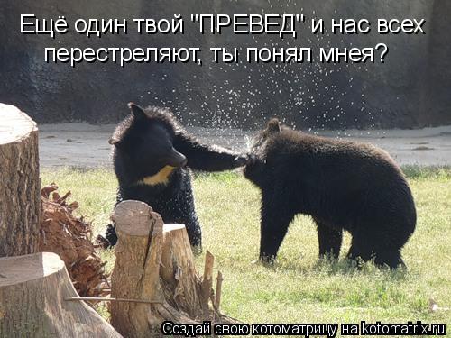 Котоматрица: Ещё один твой "ПРЕВЕД" и нас всех  перестреляют, ты понял мнея?