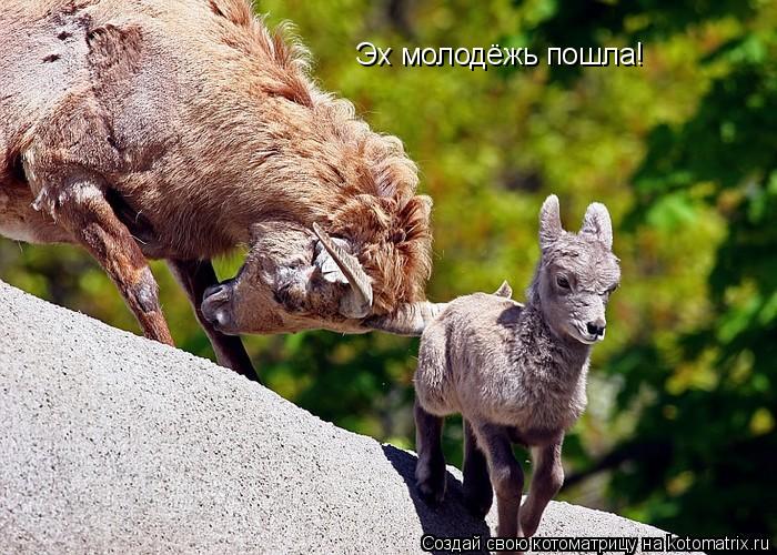Котоматрица: Эх молодёжь пошла!