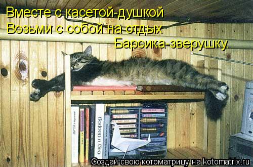 Котоматрица: Вместе с касетой-душкой Возьми с собой на отдых Барсика-зверушку.
