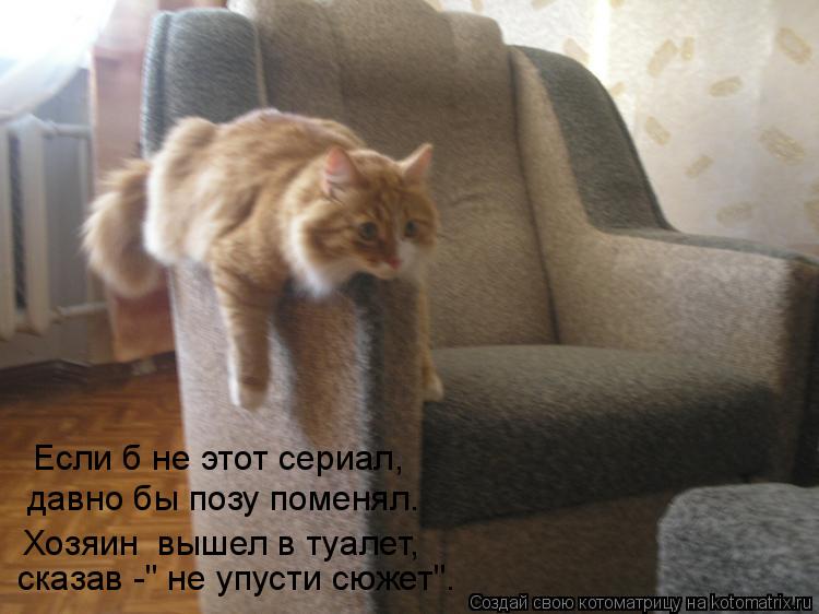 Если б не этот сериал, давно бы позу поменял. сказав -" не упусти сюжет". Хозяин вышел в туалет,... Котоматрица: Если б не этот сериал, давно бы позу поменял. сказав -" не упусти сюжет". Хозяин вышел в туалет,