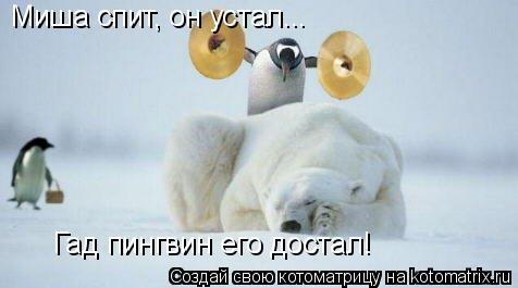 Котоматрица: Миша спит, он устал... Гад пингвин его достал!