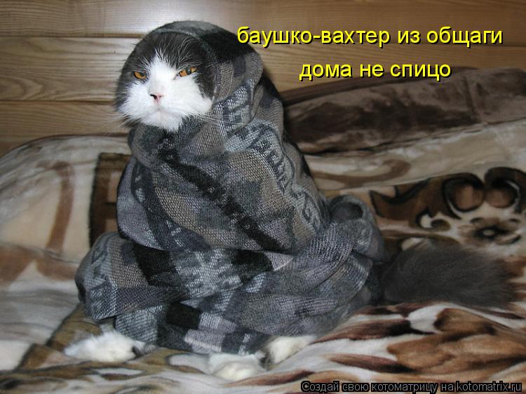 Котоматрица: баушко-вахтер из общаги дома не спицо