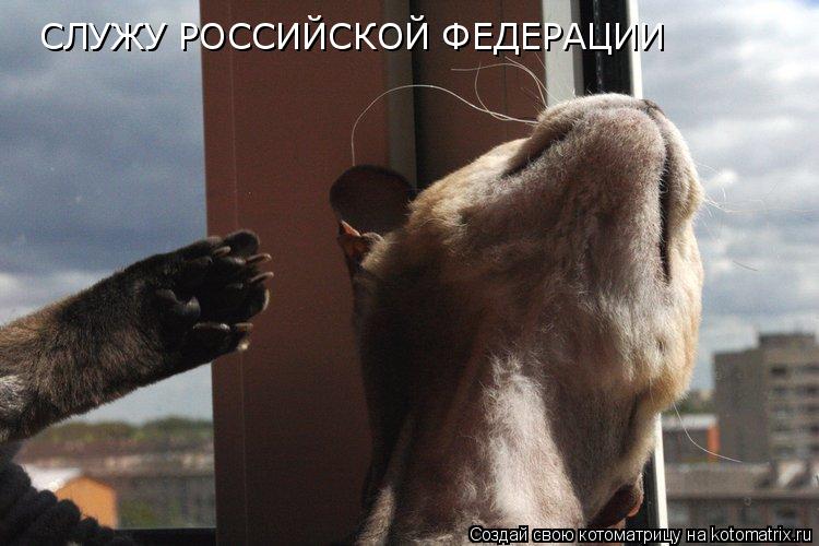 Котоматрица: СЛУЖУ РОССИЙСКОЙ ФЕДЕРАЦИИ