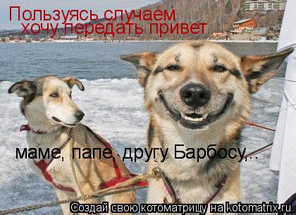 Котоматрица: Пользуясь случаем  хочу передать привет  маме, папе, другу Барбосу,.. маме, папе, другу Барбосу,..