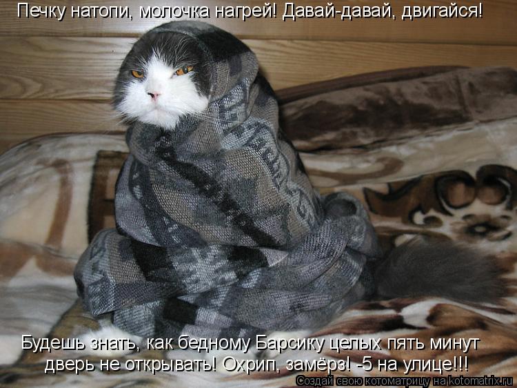 Печку натопи, молочка нагрей! Давай-давай, двигайся! дверь не открывать! Охрип, замёрз! -5 на улице!!... Котоматрица: Печку натопи, молочка нагрей! Давай-давай, двигайся! дверь не открывать! Охрип, замёрз! -5 на улице!!! Будешь знать, как бедному Барсику целых п