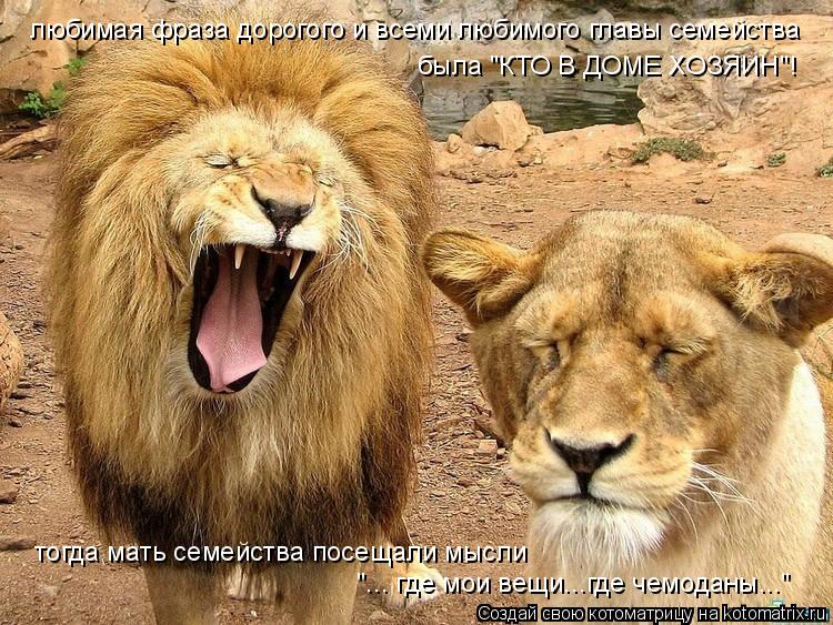 Котоматрица: любимая фраза дорогого и всеми любимого главы семейства была "КТО В ДОМЕ ХОЗЯИН"! тогда мать семейства посещали мысли  "... где мои вещи...где ч