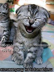 Котоматрица: абалденный планнннннннн А.............. крути еще касяк!!!