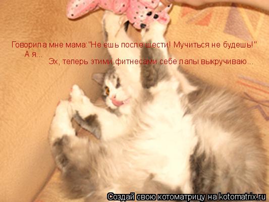 Говорила мне мама:"Не ешь после шести! Мучиться не будешь!" А я... Эх, теперь этими фитнесами себе л... Котоматрица: Говорила мне мама:"Не ешь после шести! Мучиться не будешь!" А я... Эх, теперь этими фитнесами себе лапы выкручиваю...